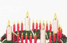 Рождественский венок: символ вечной жизни и возрождения Примеры употребления слова ольха в литературе