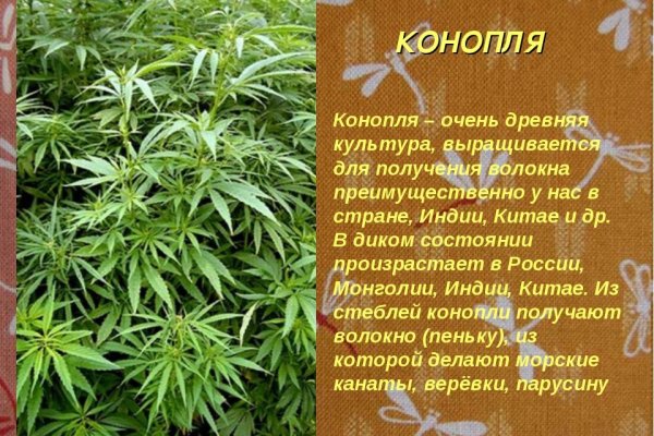 Кракен зеркало сайта
